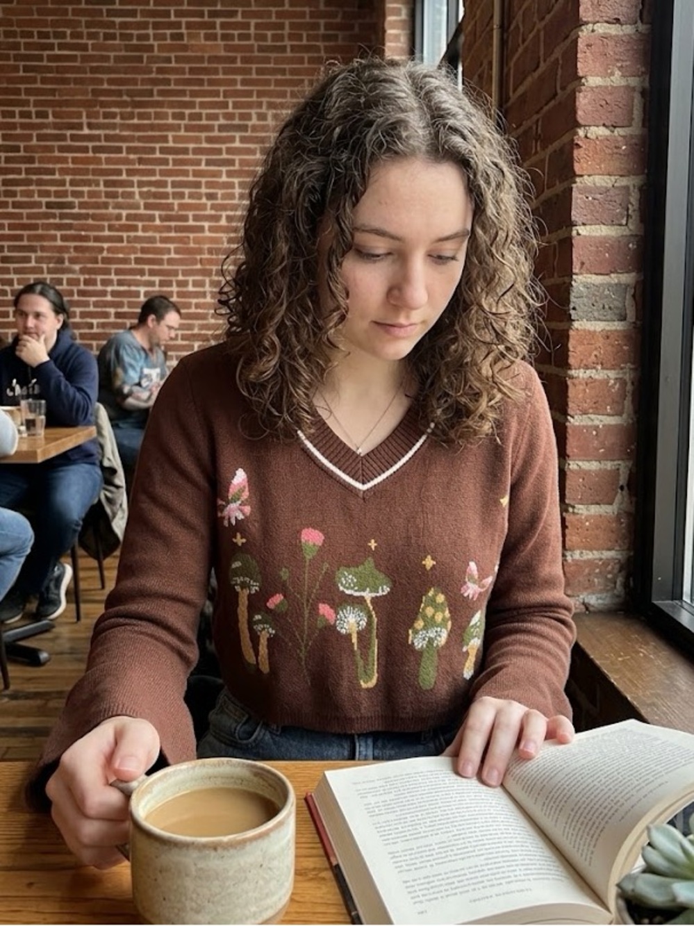 EARTHBOUND Brown V-Neck Sweater with Mushroom & Butterfly Motifs